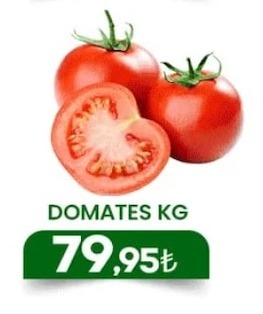 Domates Kg