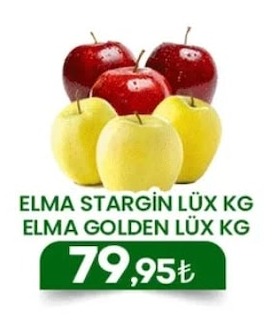 Elma Stargın Lüks Kg