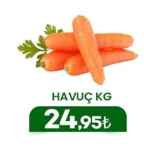 Havuç Kg