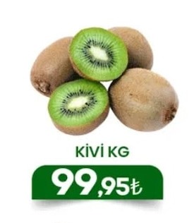 Kivi Kg