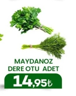 Maydanoz Dere Otu Adet