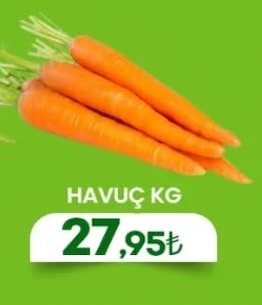 Havuç Kg