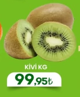 Kivi Kg