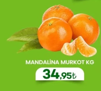 Mandalina Murkot Kg