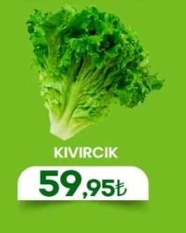 Kıvırcık