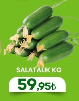 Salatalık Kg