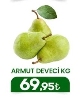 Armut Deveci Kg