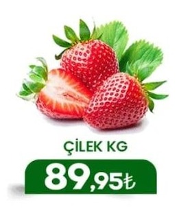 Çilek Kg