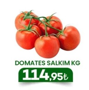 Domates Salkim Kg