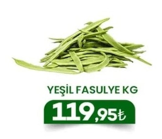 Yeşil Fasulye Kg
