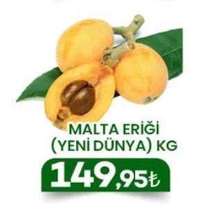 Malta Eriği (Yeni Dünya) Kg