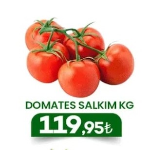 Domates Salkim Kg