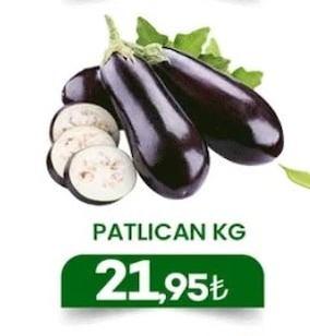 Patlican Kg
