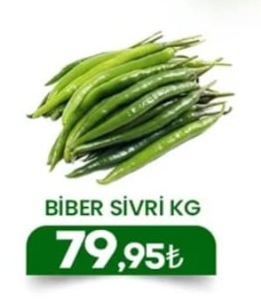 Biber Sivri Kg