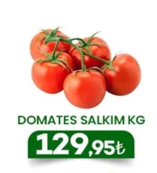 Domates Salkim Kg