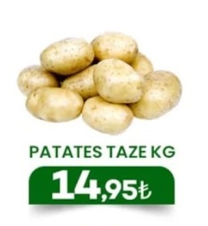 Patates Taze Kg