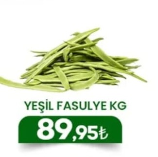 Yeşil Fasulye Kg