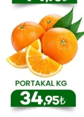 Portakal Kg