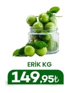Erik Kg