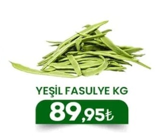 Yeşil Fasulye Kg
