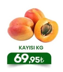Kayisi Kg