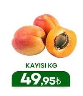 Kayisi Kg