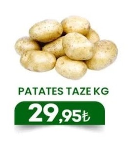 Patates Taze Kg