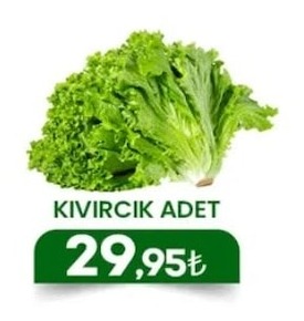 Kivircik Adet