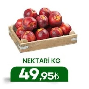 Nektari Kg