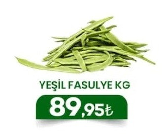 Yeşil Fasulye Kg