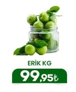 Erik Kg