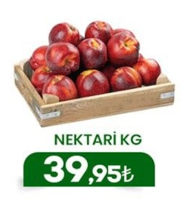 Nektari Kg