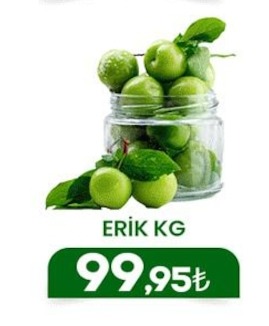 Erik Kg