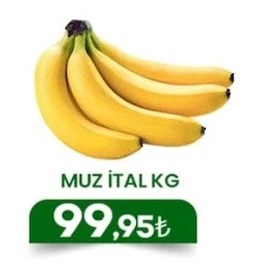 Muz İthal Kg