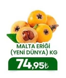 Malta Eriği (Yeni Dünya) Kg