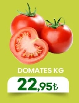 Domates Kg