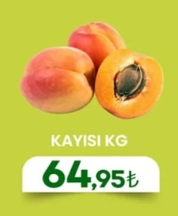 Kayisi Kg
