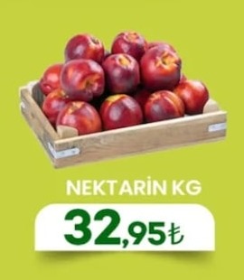 Nektarin Kg