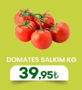 Domates Salkim Kg