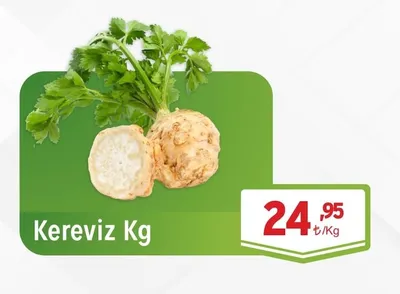 Kereviz Kg