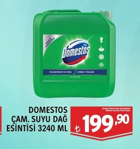 Domestos Çam Suyu Dağ Esintisi 3240 Ml
