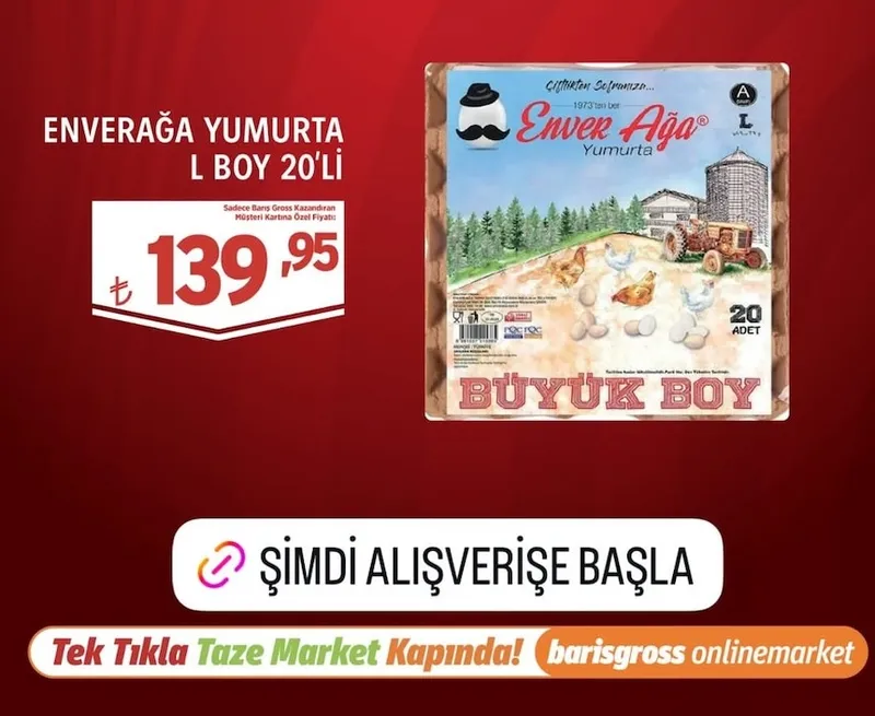 Enverağa Yumurta L Boy 20'Li