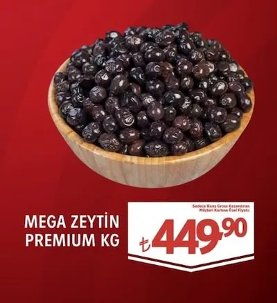 Mega Zeytin Premium Kg