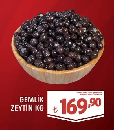 Gemlik Zeytin Kg