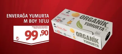 Enverağa Yumurta M Boy 10'Lu