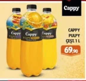 Cappy Pulpy Çeşit 1 L