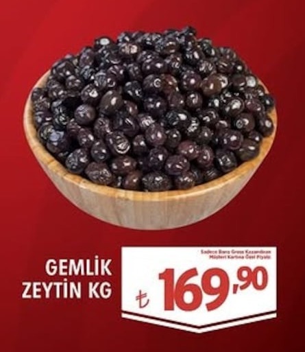 Gemlik Zeytin Kg