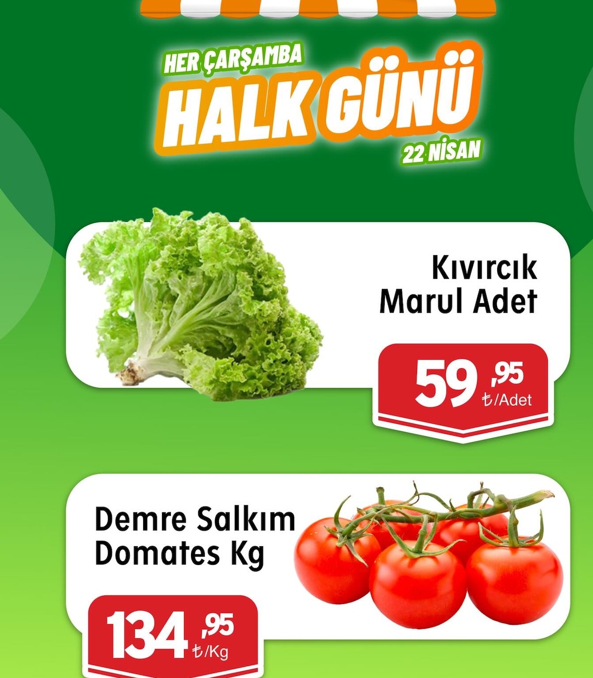 Kıvırcık Marul Adet