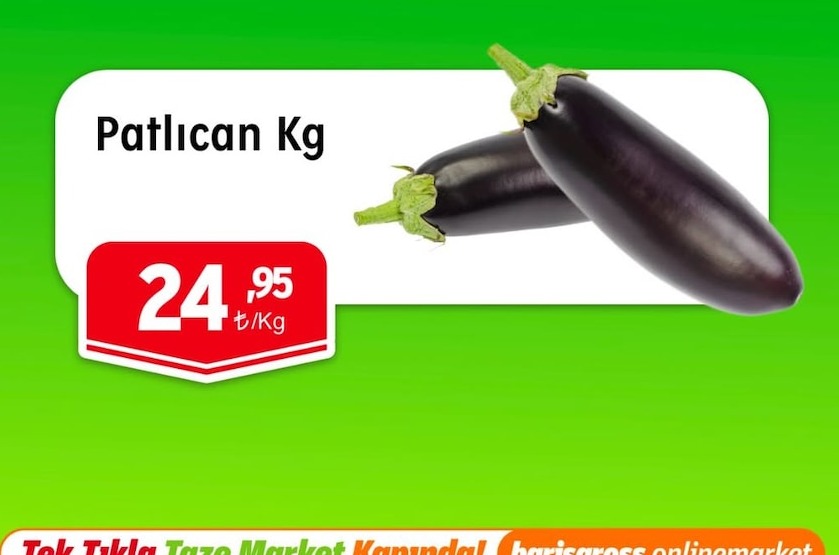 Patlıcan Kg