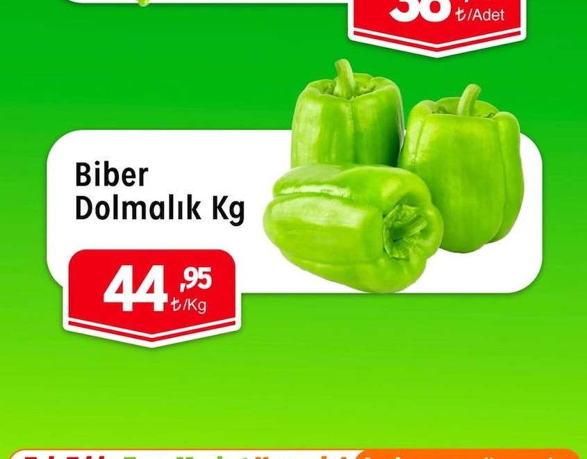 Biber Dolmalik Kg